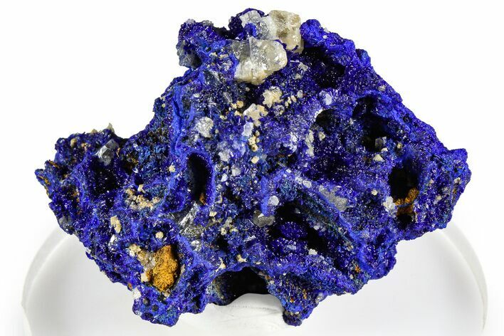 Cerussite Crystals on Sparkling Azurite - Congo #368210